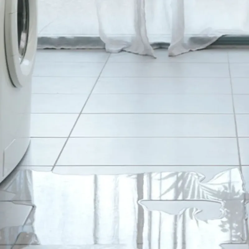 Appliance Leak Cleanup in Talladega, AL