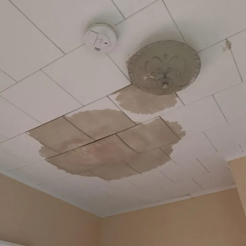 Ceiling Water Damage Repair in Talladega, AL