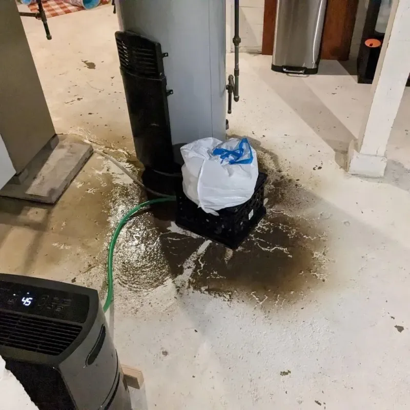 Sewage Backup Cleanup Service in Talladega, AL